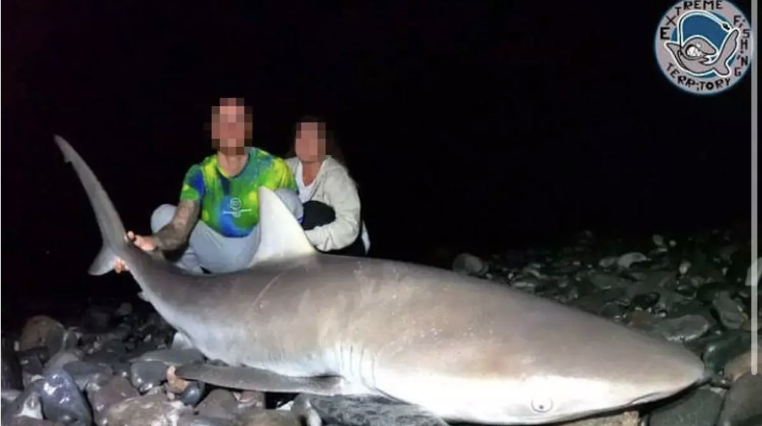 Pesca de Tiburones Protegidos como Atracción Turística en Lanzarote