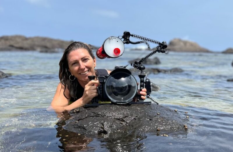 Alicia Herrera Ulibarri